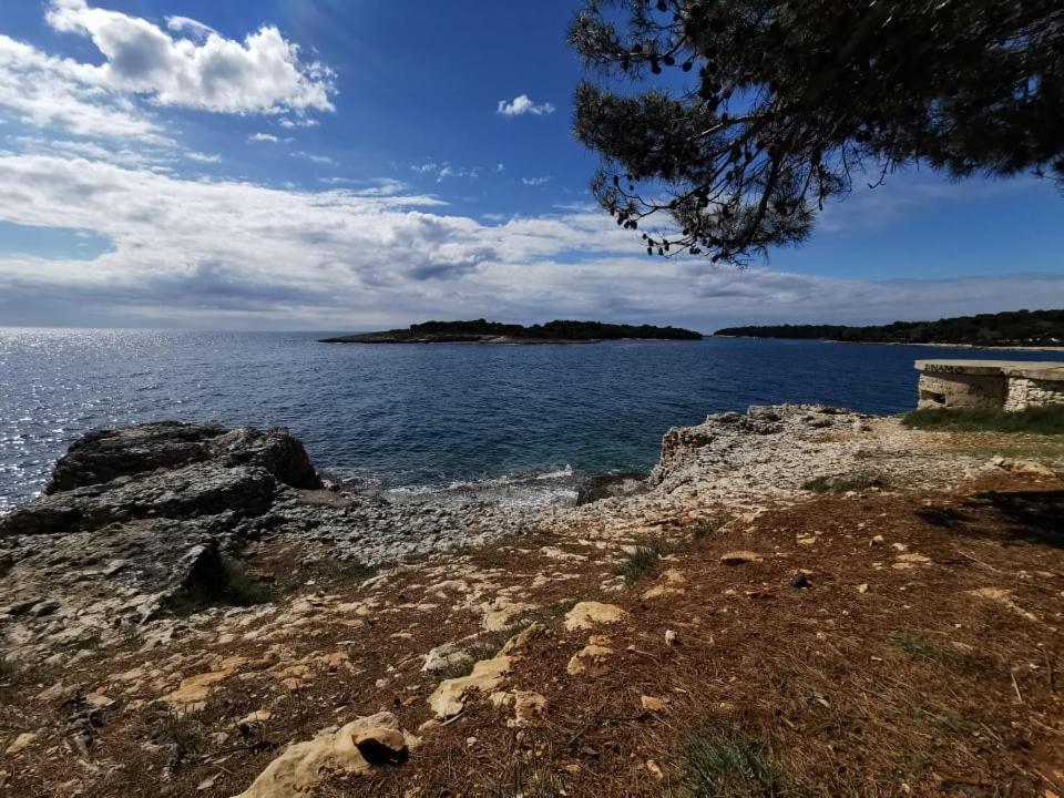 Black Pearl - Luxury Seaside App With Pool & Bbq, Istra 반졸레 외부 사진