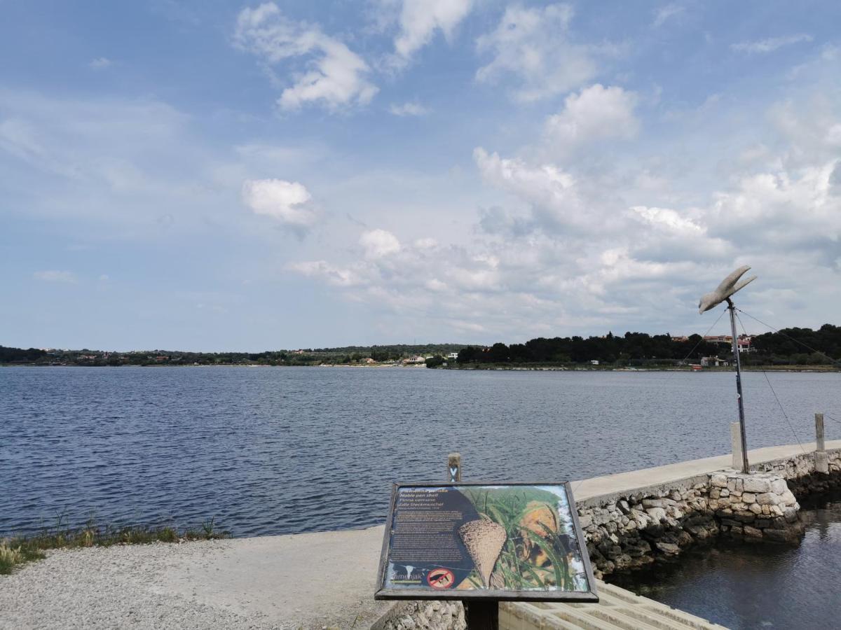Black Pearl - Luxury Seaside App With Pool & Bbq, Istra 반졸레 외부 사진